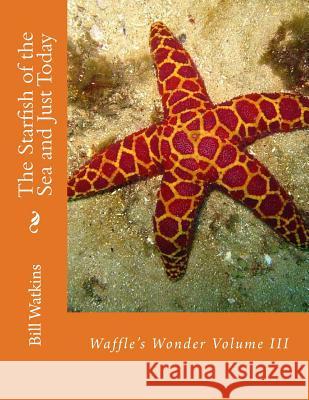 The Starfish of the Sea and Just Today Bill Watkins 9781548065003 Createspace Independent Publishing Platform - książka