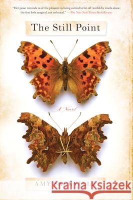 The Still Point Amy Sackville 9781582438009 Counterpoint LLC - książka