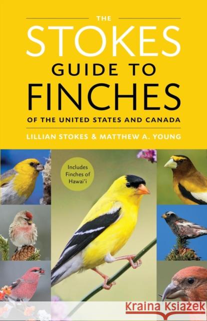 The Stokes Guide to Finches of the United States and Canada Lillian Q. Stokes Matthew A. Young 9780316419932 Little, Brown & Company - książka