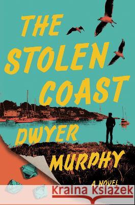 The Stolen Coast Dwyer Murphy 9780593653678 Viking - książka