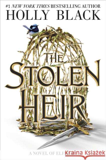 The Stolen Heir: A Novel of Elfhame Holly Black 9780316543309 Little, Brown Books for Young Readers - książka