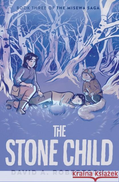 The Stone Child: The Misewa Saga, Book Three David A. Robertson 9780735266162 Prentice Hall Press - książka