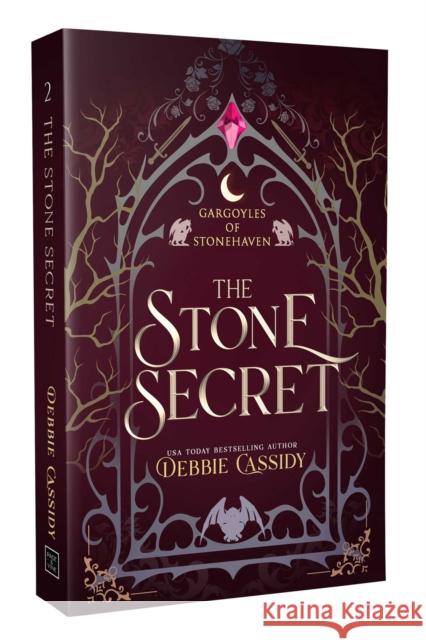 The Stone Secret Debbie Cassidy 9781964264745 Page & Vine - książka