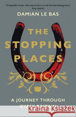 The Stopping Places: A Journey Through Gypsy Britain Damian Le Bas 9781784704131 Vintage Publishing - książka