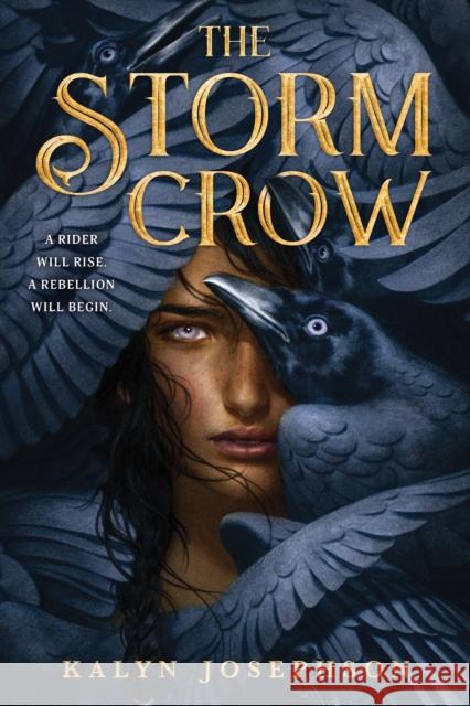 The Storm Crow Kalyn Josephson 9781728206974 Sourcebooks Fire - książka