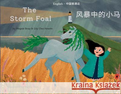 The Storm Foal: 风暴中的小马 Megsie Bray Lily Hewitt Maddy Vian 9781739944254 Meadow Song Books - książka