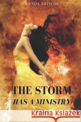 The Storm Has A Ministry Too Wanda Briscoe 9781733941334 Vision to Fruition Publishing House - książka