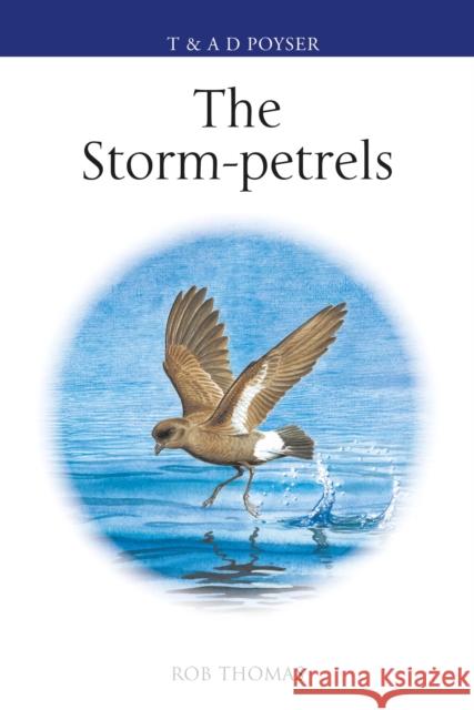 The Storm-petrels Rob Thomas 9781472985811 Bloomsbury Publishing PLC - książka