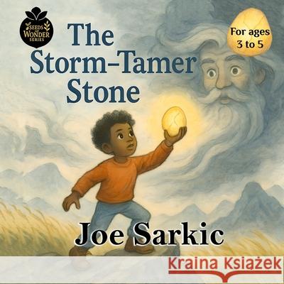 The Storm-Tamer Stone Joe Sarkic 9781738252589 Joe Sarkic - książka
