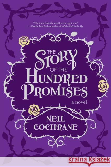 The Story of the Hundred Promises  9781942436515 Forest Avenue Press - książka