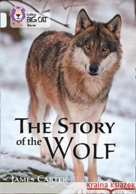 The Story of the Wolf: Band 17/Diamond  9780008208967 HarperCollins Publishers - książka