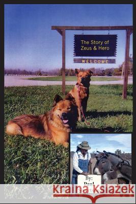 The Story of Zeus and Hero Paul M. Sivertsen 9781501010019 Createspace Independent Publishing Platform - książka