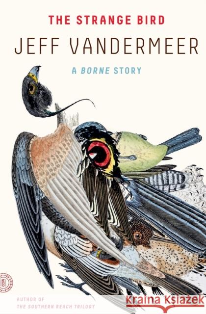 The Strange Bird: A Borne Story Jeff VanderMeer 9780374537920 MCD - książka