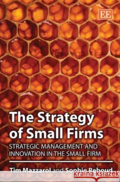 The Strategy of Small Firms: Strategic Management and Innovation in the Small Firm Tim Mazzarol, Sophie Reboud 9781843764175 Edward Elgar Publishing Ltd - książka