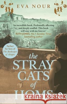 The Stray Cats of Homs: A powerful, moving novel inspired by a true story Eva Nour 9781784164928 Transworld Publishers Ltd - książka