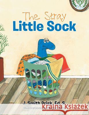 The Stray Little Sock J Smith Prisk Ed S 9781512783575 WestBow Press - książka