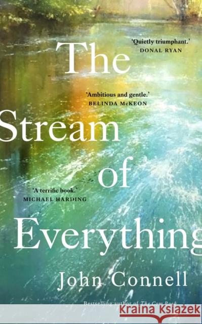 The Stream of Everything John Connell 9780717194643 Gill - książka