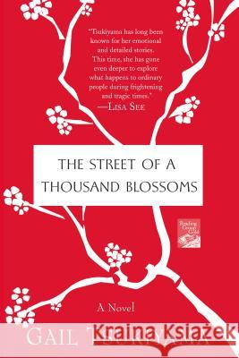 The Street of a Thousand Blossoms Gail Tsukiyama 9780312384777 St. Martin's Griffin - książka