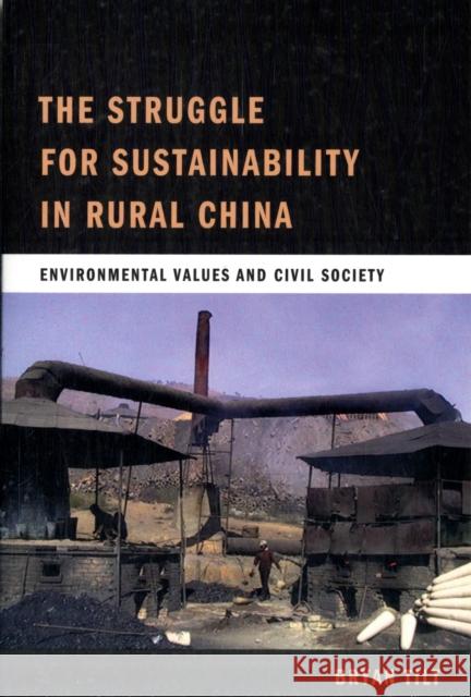 The Struggle for Sustainability in Rural China: Environmental Values and Civil Society Tilt, Bryan 9780231150019 Columbia University Press - książka