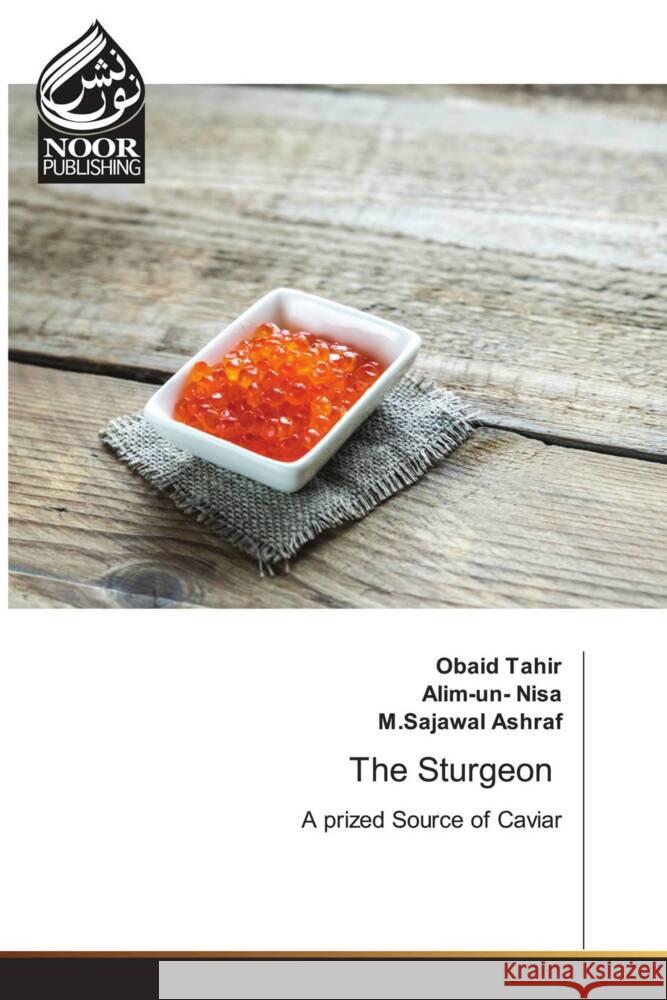 The Sturgeon Tahir, Obaid, Nisa, Alim-un-, Ashraf, M.Sajawal 9786205637388 Noor Publishing - książka