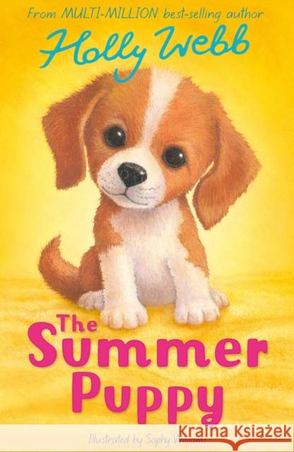The Summer Puppy Holly Webb 9781788957588 Little Tiger Press Group - książka
