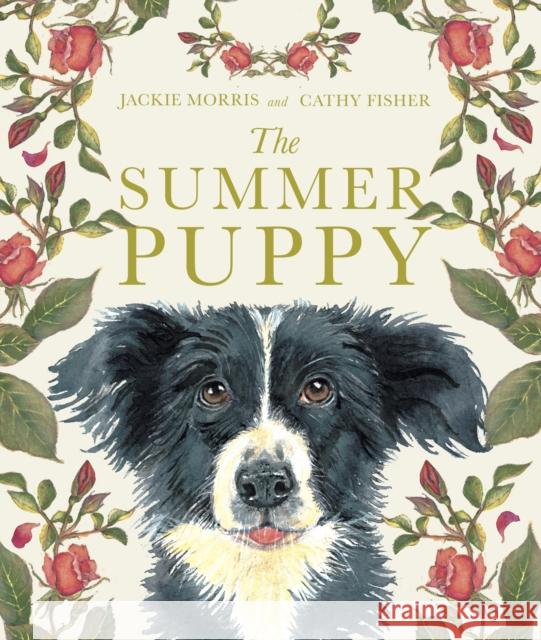 The Summer Puppy Jackie Morris 9781915659323 Otter-Barry Books - książka