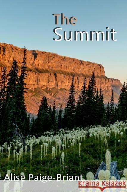 The Summit Alise Paige-Briant 9781647195625 Booklocker.com - książka