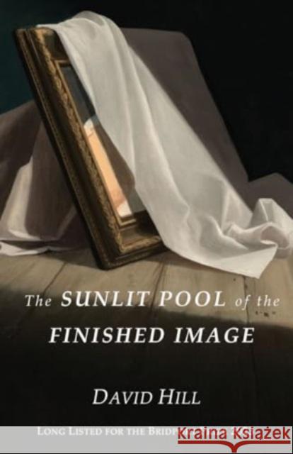 The Sunlit Pool of the Finished Image David Hill 9781913432904 Stairwell Books - książka