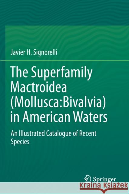 The Superfamily Mactroidea (Mollusca: Bivalvia) in American Waters: An Illustrated Catalogue of Recent Species Javier H. Signorelli 9783030290993 Springer - książka