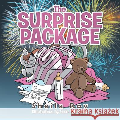 The Surprise Package Sheila Roy 9781496984081 Authorhouse - książka