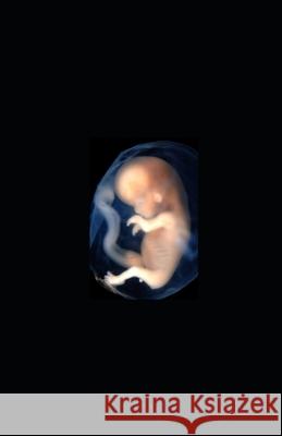 The Surrogate Dimitri H. Markov 9781517148379 Createspace Independent Publishing Platform - książka