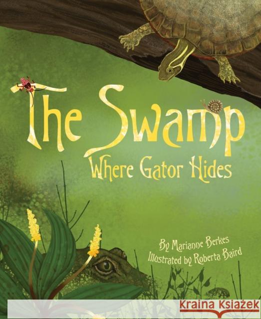 The Swamp Where Gator Hides Berkes, Marianne 9781584694717 Dawn Publications (CA) - książka