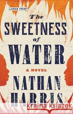 The Sweetness of Water Nathan Harris 9780316362894 Little Brown and Company - książka