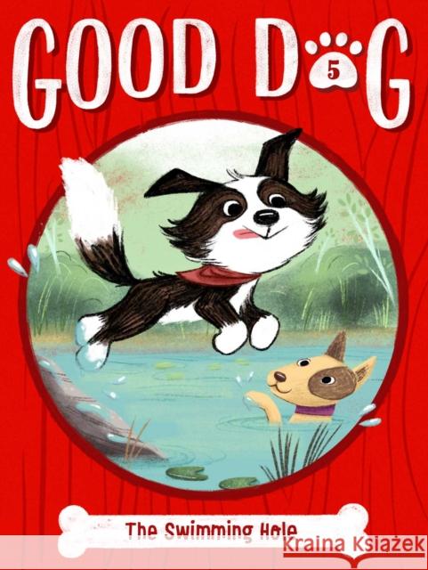 The Swimming Hole Higgins, Cam 9781534495357 Little Simon - książka