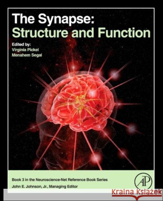 The Synapse: Structure and Function Pickel, Virginia 9780124186750 Elsevier Science - książka