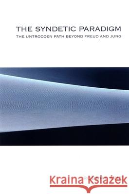 The Syndetic Paradigm: The Untrodden Path Beyond Freud and Jung Robert Aziz 9780791469828 State University of New York Press - książka