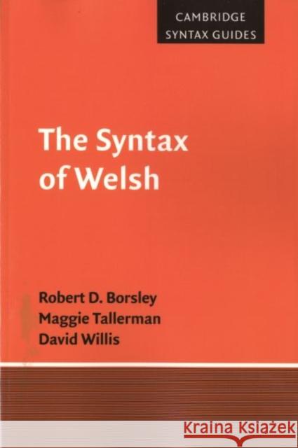 The Syntax of Welsh Robert D. Borsley Maggie Tallerman David Willis 9781107407619 Cambridge University Press - książka