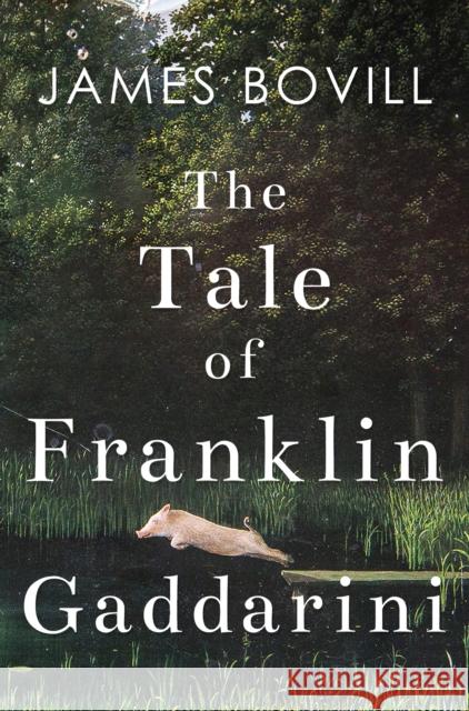 The Tale of Franklin Gaddarini James Bovill 9781800167056 Pegasus Elliot Mackenzie Publishers - książka
