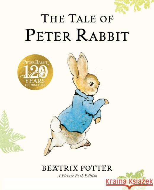 The Tale of Peter Rabbit Picture Book Beatrix Potter 9780241523575 Penguin Random House Children's UK - książka