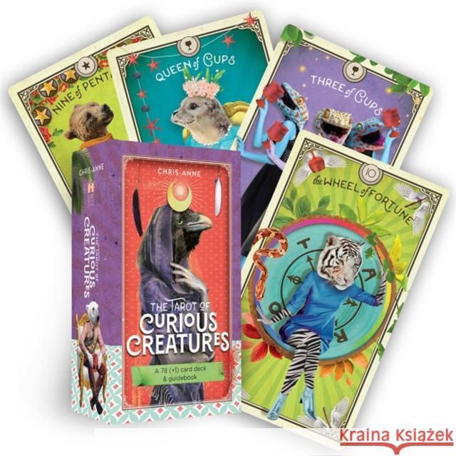 The Tarot of Curious Creatures: A 78 (+1) Card Deck and Guidebook Chris-Anne 9781401963262 Hay House - książka