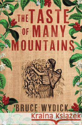 The Taste of Many Mountains Bruce Wydick 9781401689926 Thomas Nelson Publishers - książka