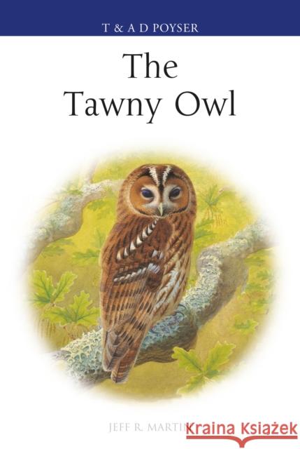 The Tawny Owl Jeff Martin 9781472943569 T & Ad Poyser - książka