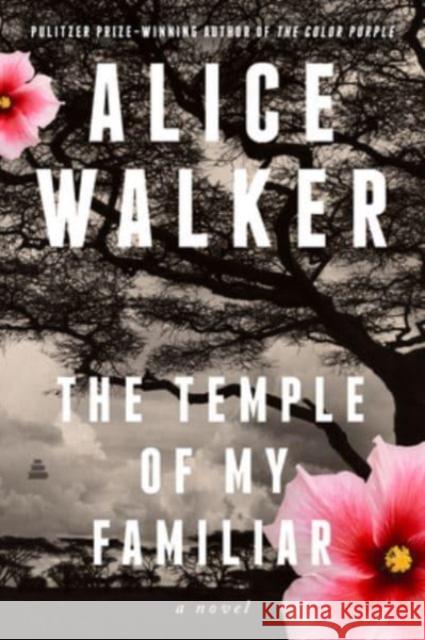 The Temple of My Familiar: A Novel Alice Walker 9780063346833 HarperCollins - książka