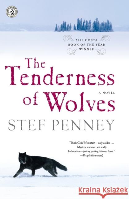 The Tenderness of Wolves Stef Penney 9781416571308 Simon & Schuster - książka