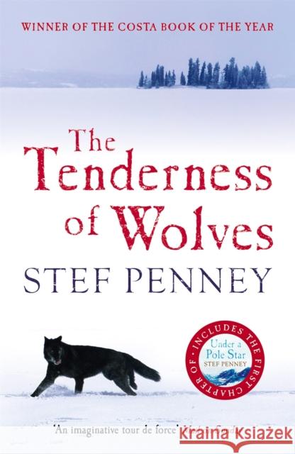 The Tenderness of Wolves Stef Penney 9781847240675 Quercus Publishing - książka