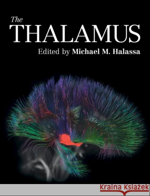 The Thalamus Michael M. Halassa 9781108481564 Cambridge University Press - książka