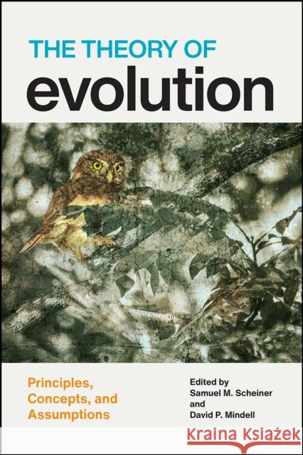 The Theory of Evolution: Principles, Concepts, and Assumptions Samuel M. Scheiner David P. Mindell 9780226671024 University of Chicago Press - książka