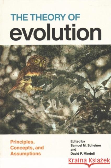 The Theory of Evolution: Principles, Concepts, and Assumptions Samuel M. Scheiner David P. Mindell 9780226671161 University of Chicago Press - książka