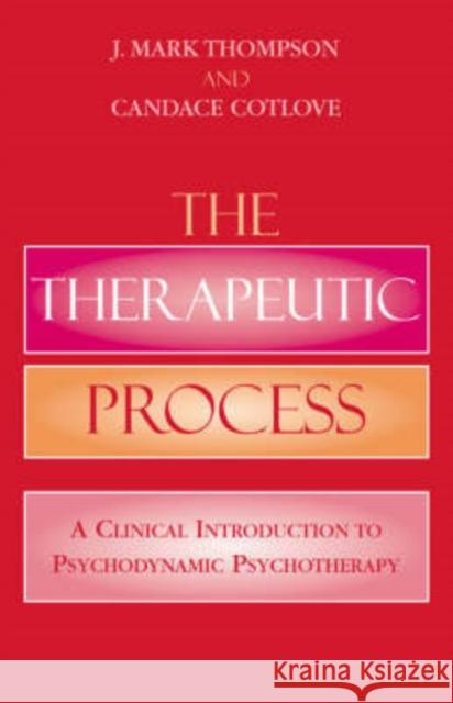 The Therapeutic Process: A Clinical Introduction to Psychodynamic Psychotherapy Thompson, Mark J. 9780765703293 Jason Aronson - książka