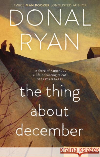 The Thing About December Donal Ryan 9780552773577 Transworld Publishers Ltd - książka